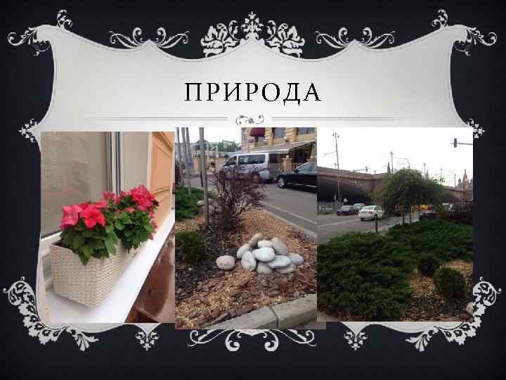 ПРИРОДА 