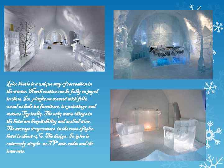 Igloo hotels is a unique way of recreation in the winter. North exotics can