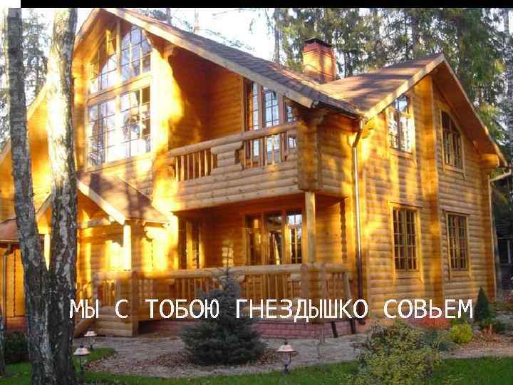 МЫ С ТОБОЮ ГНЕЗДЫШКО СОВЬЕМ 