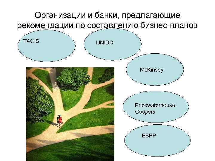 Организации и банки, предлагающие рекомендации по составлению бизнес-планов TACIS UNIDO Mc. Kinsey Pricewaterhouse Coopers