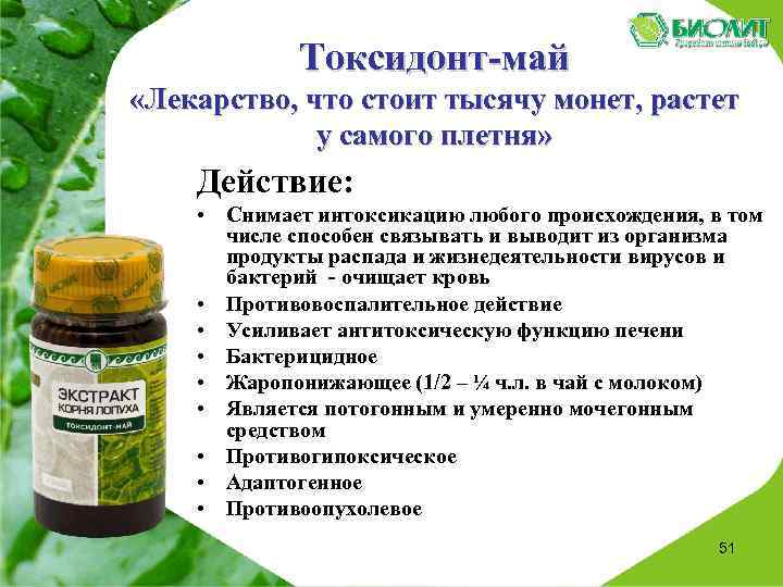 Токсидонт-май «Лекарство, что стоит тысячу монет, растет у самого плетня» Действие: • Снимает интоксикацию