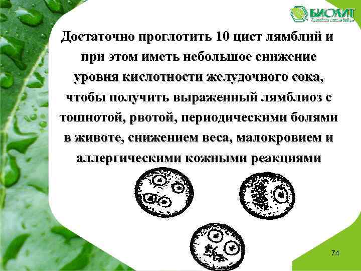  Достаточно проглотить 10 цист лямблий и при этом иметь небольшое снижение уровня кислотности