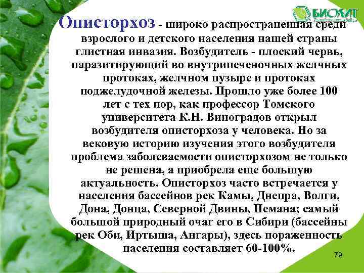  Описторхоз - широко распространенная среди взрослого и детского населения нашей страны глистная инвазия.