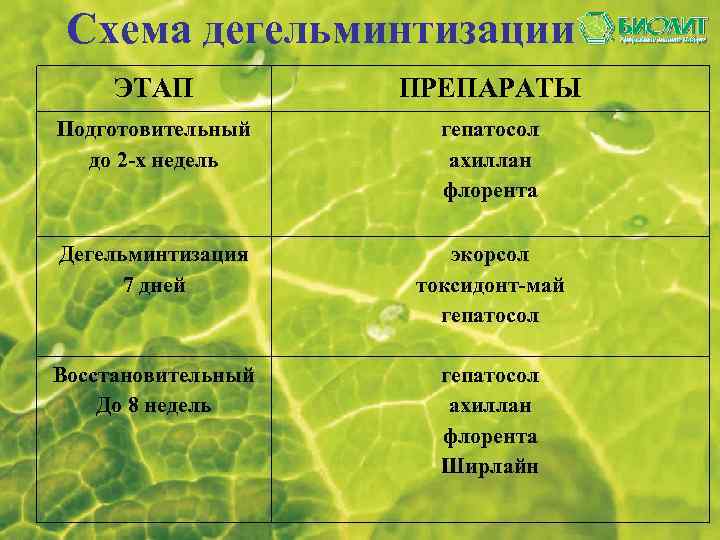 Схема дегельминтизации ЭТАП ПРЕПАРАТЫ Подготовительный до 2 -х недель гепатосол ахиллан флорента Дегельминтизация 7