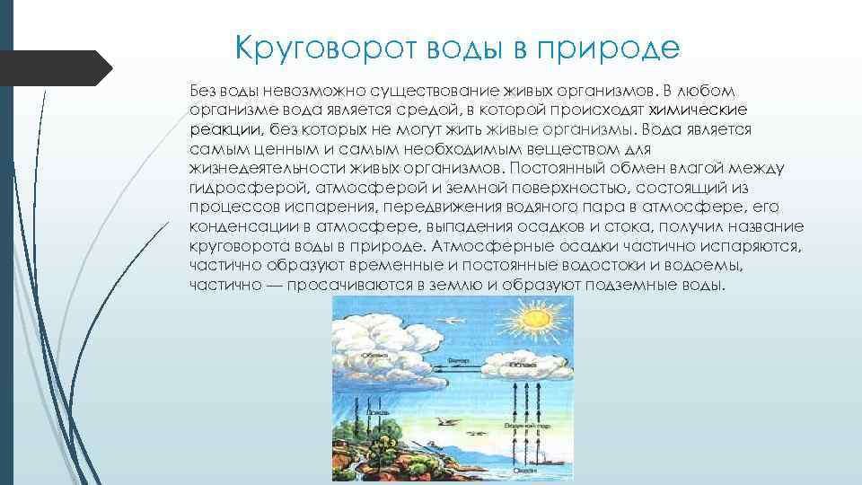 Круговорот воды в природе Без воды невозможно существование живых организмов. В любом организме вода