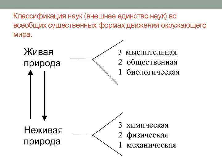 Классификация наук (внешнее единство наук) во всеобщих существенных формах движения окружающего мира. 