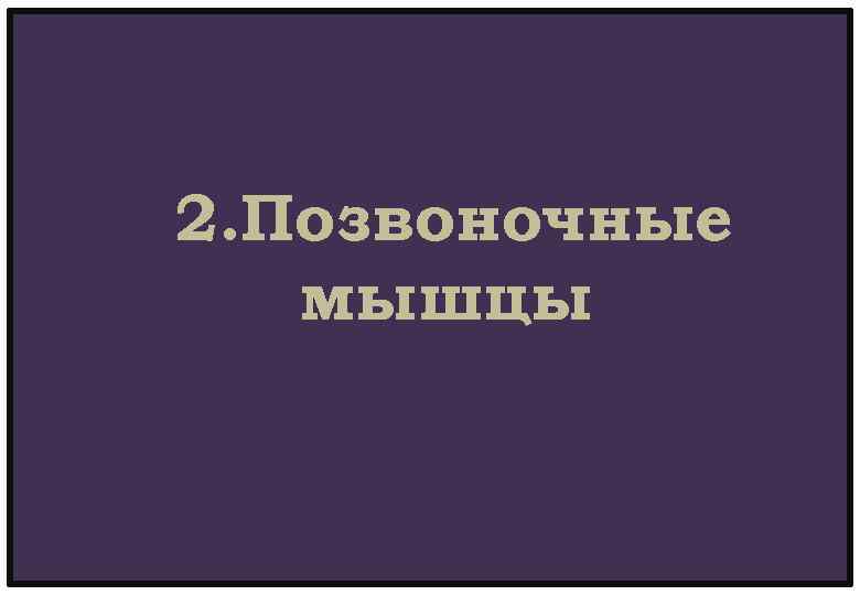 2. Позвоночные мышцы 