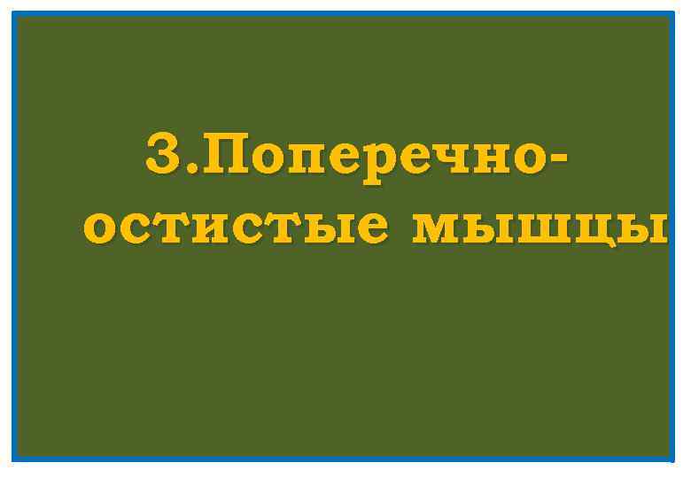 3. Поперечноостистые мышцы 