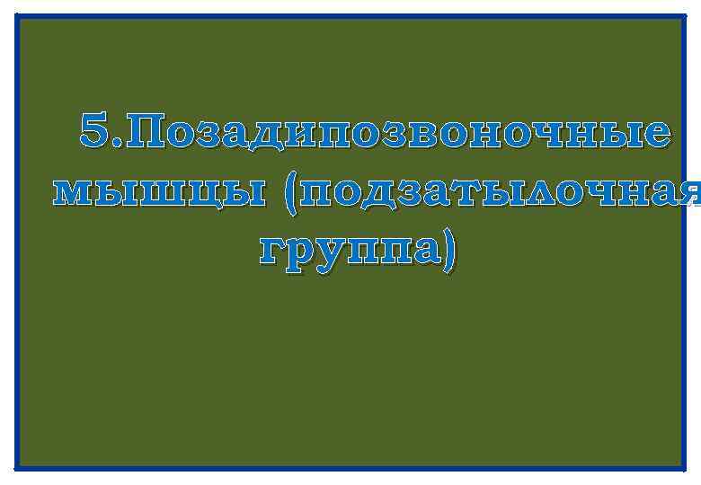 5. Позадипозвоночные мышцы (подзатылочная группа) 