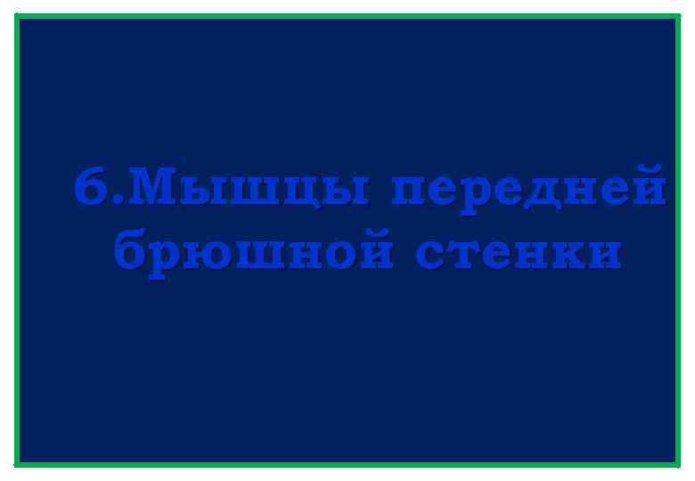 6. Мышцы передней брюшной стенки 