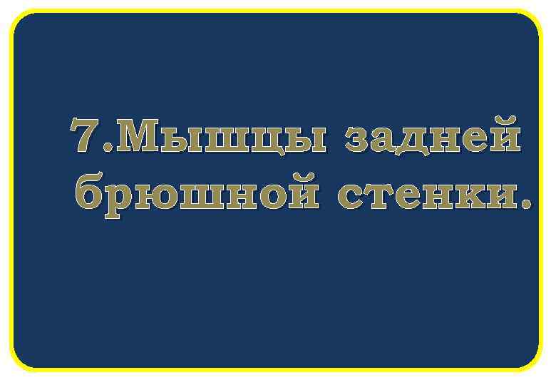 7. Мышцы задней брюшной стенки. 