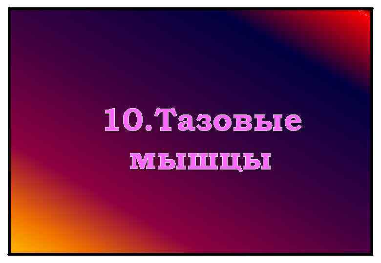 10. Тазовые мышцы 