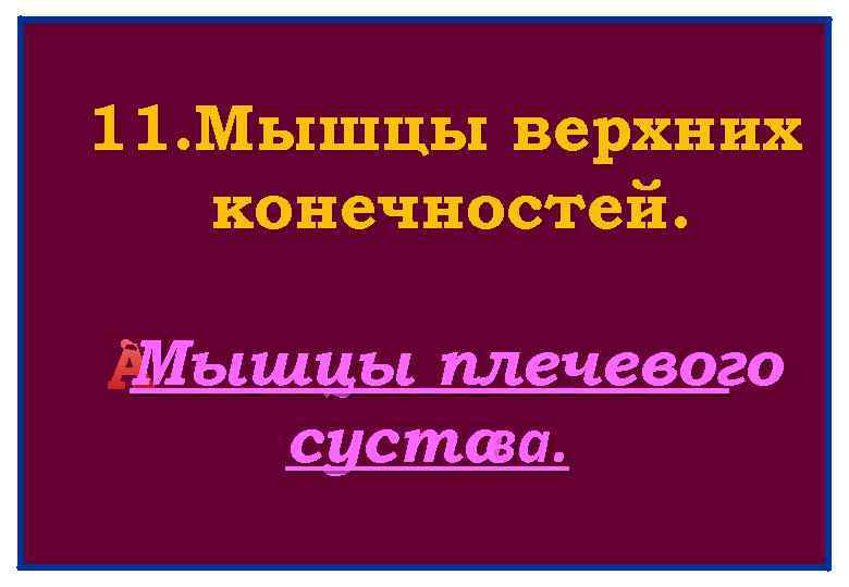 11. Мышцы верхних конечностей. Мышцы плечевого суста ва. 