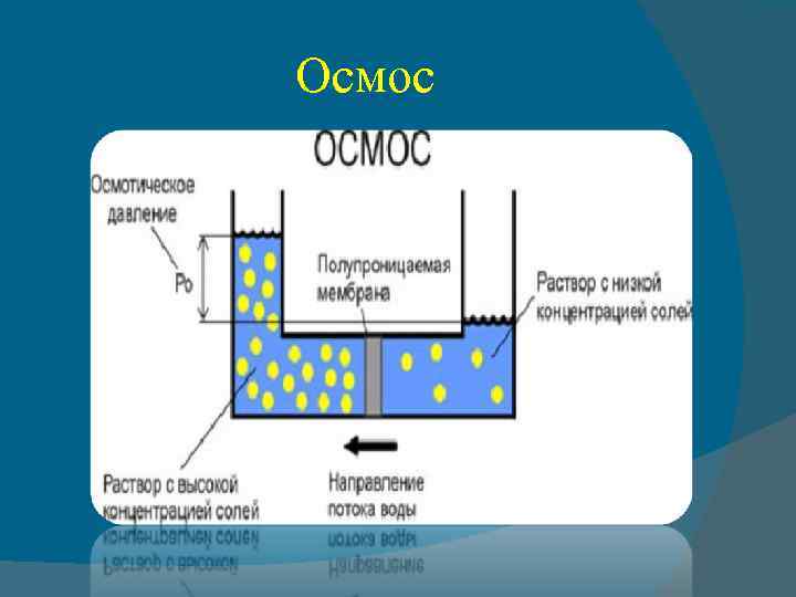 Схема прямого осмоса