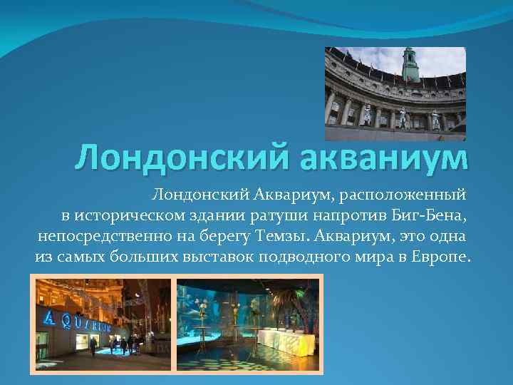 Лондонский акваниум Лондонский Аквариум, расположенный в историческом здании ратуши напротив Биг-Бена, непосредственно на берегу
