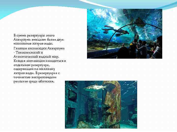 В сумме резервуары этого Аквариума вмещают более двух миллионов литров воды. Главные экспозиции Аквариума