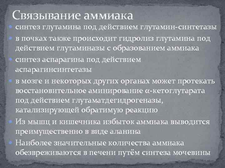Связывание аммиака синтез глутамина под действием глутамин-синтетазы в почках также происходит гидролиз глутамина под