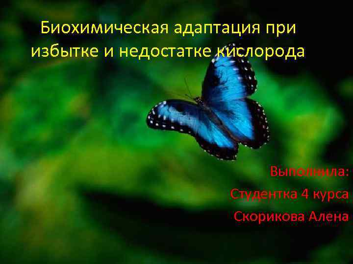 Биохимическая адаптация при избытке и недостатке кислорода Выполнила: Студентка 4 курса Скорикова Алена 