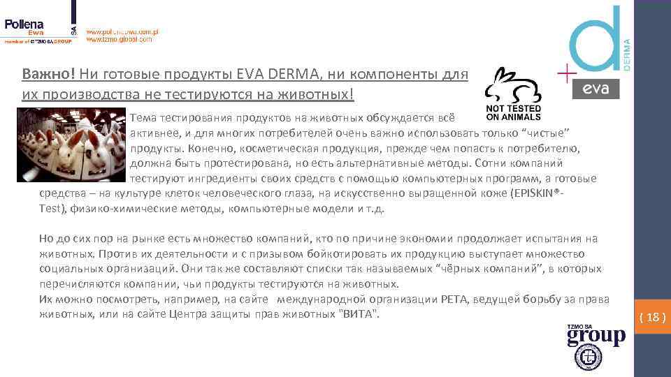 Важно! Ни готовые продукты EVA DERMA, ни компоненты для их производства не тестируются на