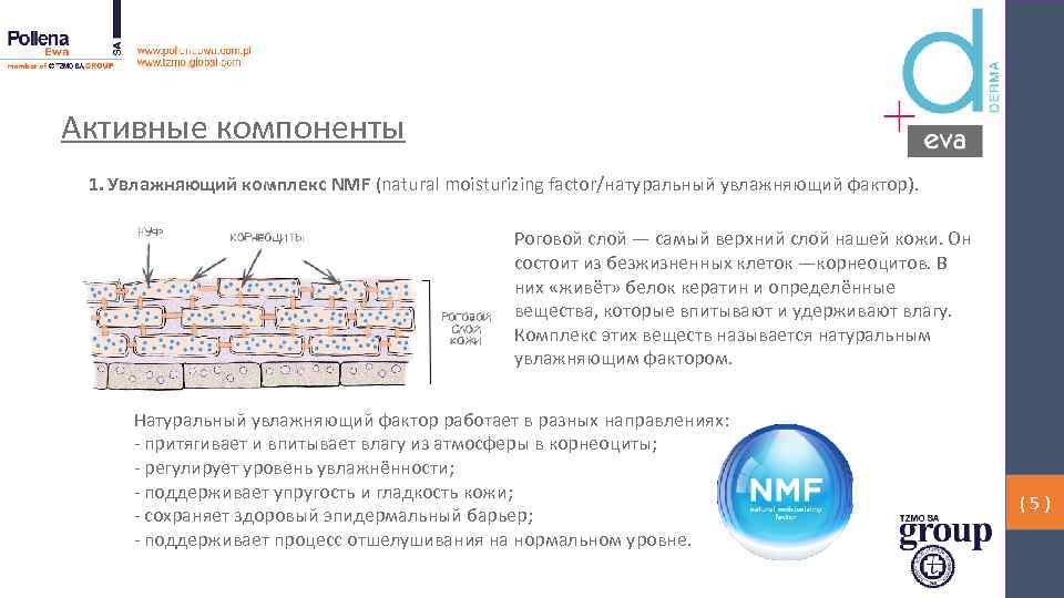 Активные компоненты 1. Увлажняющий комплекс NMF (natural moisturizing factor/натуральный увлажняющий фактор). Роговой слой —