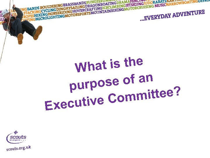 at is the Wh of an urpose p mittee? e Com xecutiv E 