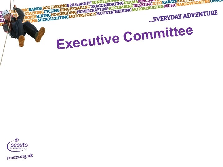 mittee ive Com Execut 