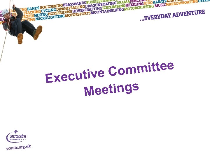 mittee e Com xecutiv E eetings M 