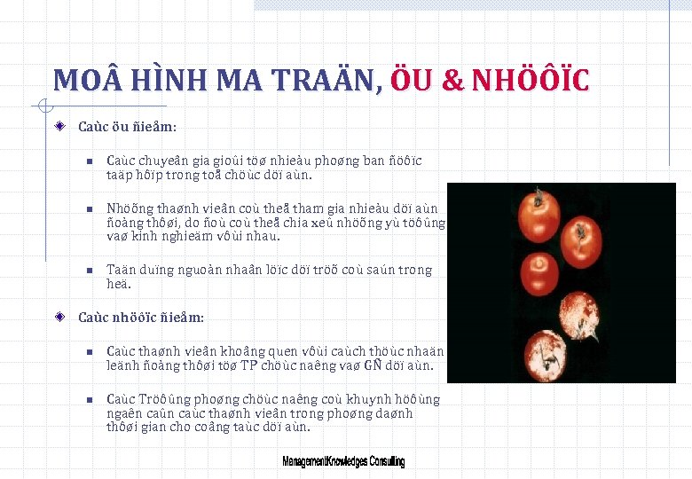 MO HÌNH MA TRAÄN, ÖU & NHÖÔÏC Caùc öu ñieåm: n n n Caùc