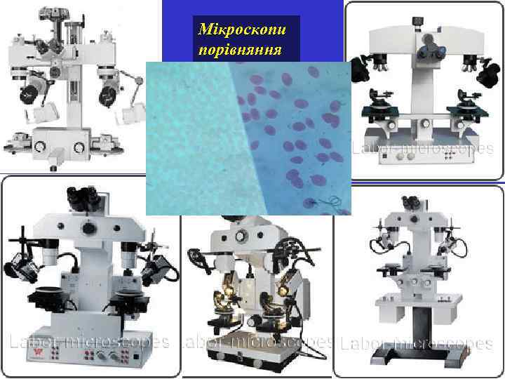 Мікроскопи порівняння 