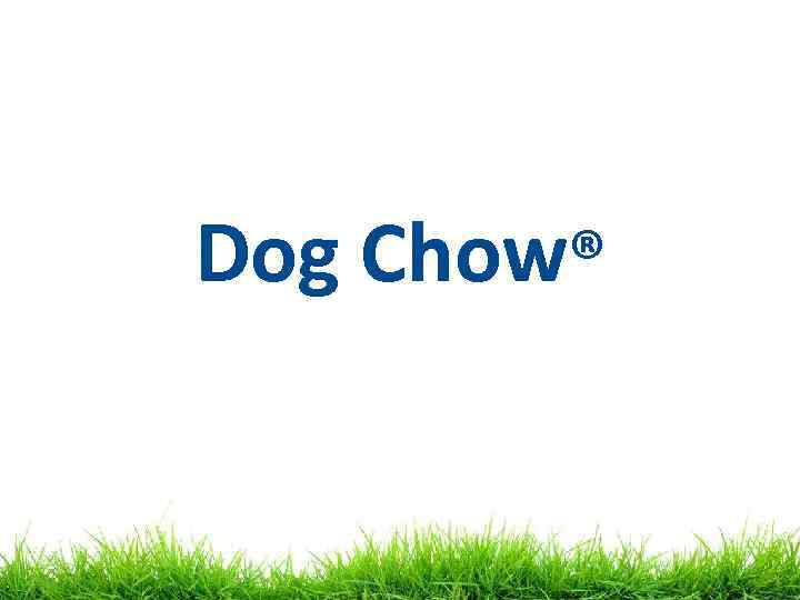 Dog Chow® 
