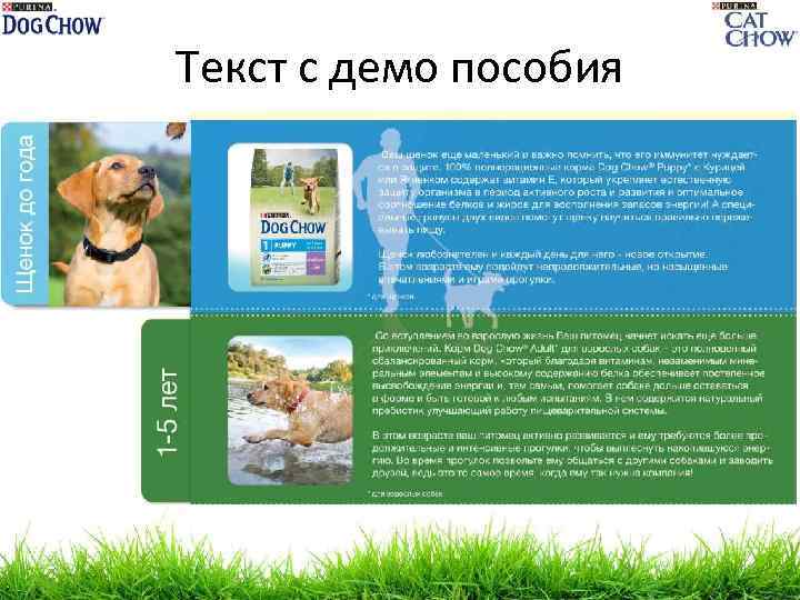 Текст с демо пособия 