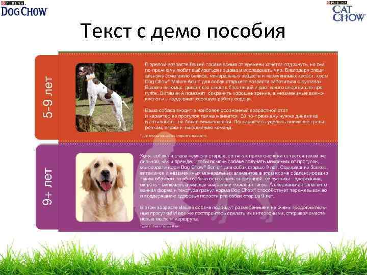 Текст с демо пособия 