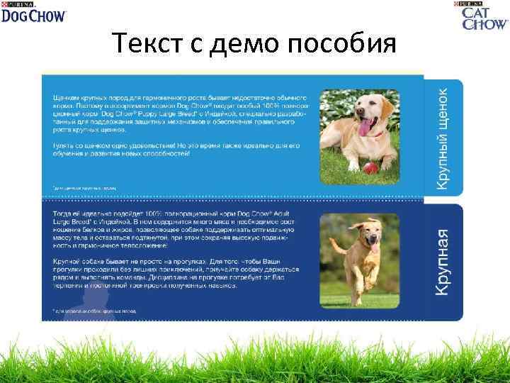 Текст с демо пособия 