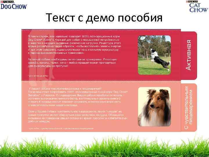 Текст с демо пособия 