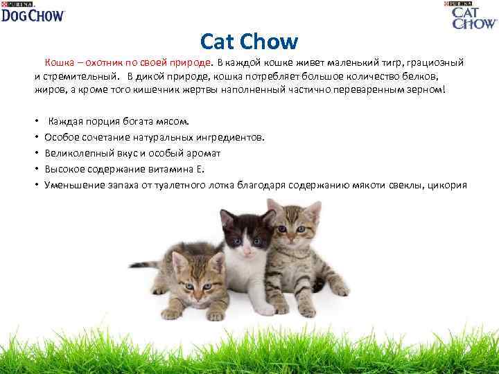 Cat Chow Кошка – охотник по своей природе. В каждой кошке живет маленький тигр,