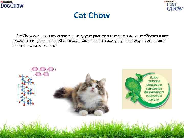 Cat Chow содержит комплекс трав и других растительных составляющих обеспечивают здоровье пищеварительной системы, поддерживают