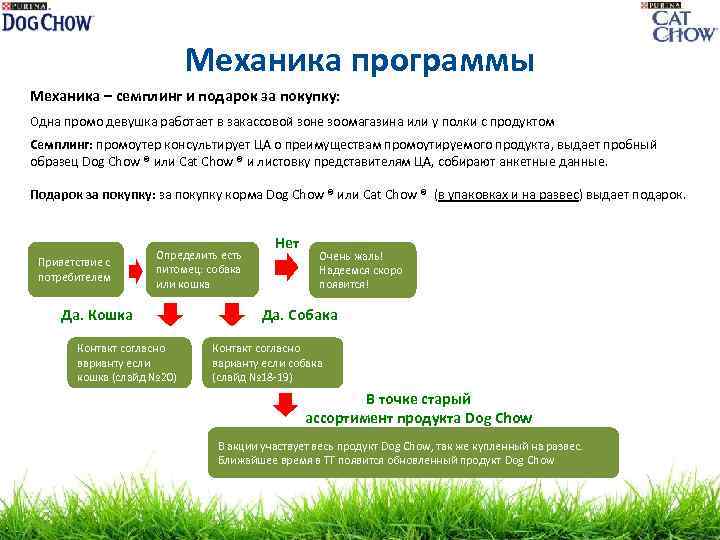 Механика программы Механика – семплинг и подарок за покупку: Одна промо девушка работает в