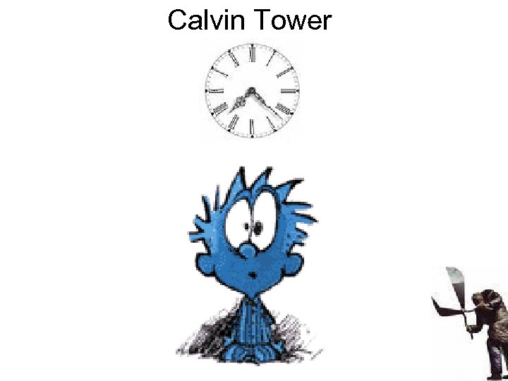 Calvin Tower 