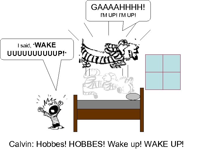 GAAAAHHHH! I’M UP! I said, “WAKE UUUUUP!” Calvin: Hobbes! HOBBES! Wake up! WAKE UP!