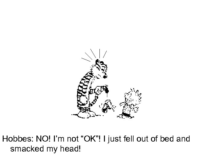 Hobbes: NO! I’m not “OK”! I just fell out of bed and smacked my