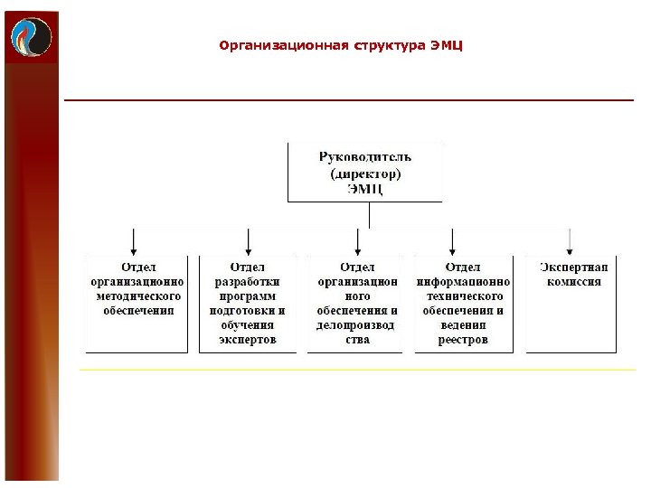 Организационная структура ЭМЦ 