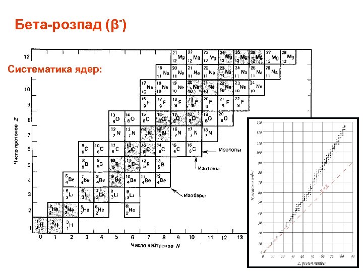 Бета-розпад (β-) Систематика ядер: 