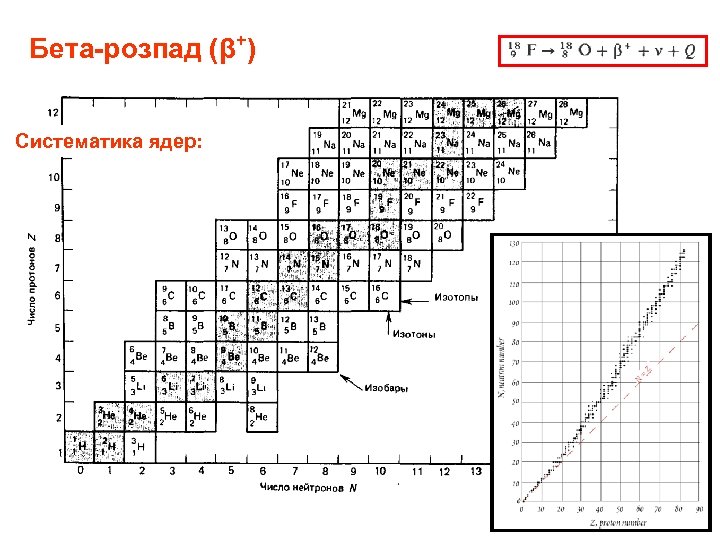 Бета-розпад (β+) Систематика ядер: 