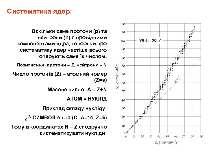 Систематика ядер: Оскільки саме протони (p) та нейтрони (n) є провідними компонентами ядра, говорячи
