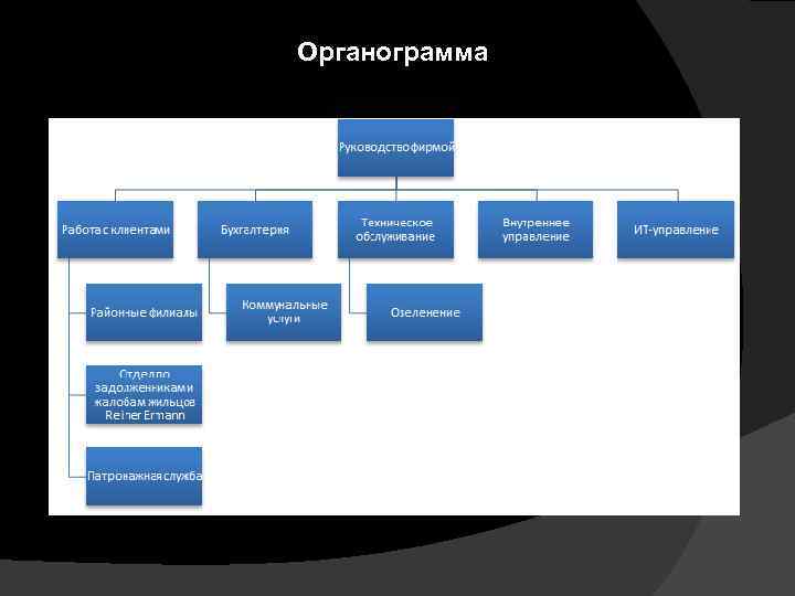 Органограмма 