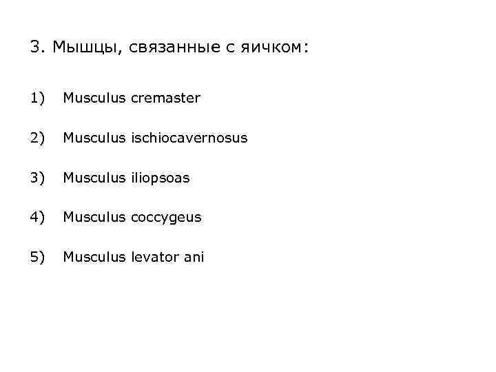 3. Мышцы, связанные с яичком: 1) Musculus cremaster 2) Musculus ischiocavernosus 3) Musculus iliopsoas