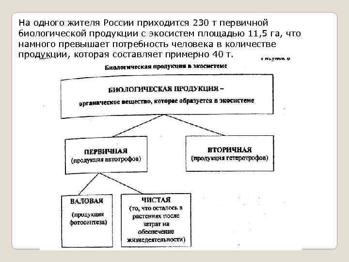 На одного жителя России приходится 230 т первичной биологической продукции с экосистем площадью 11,