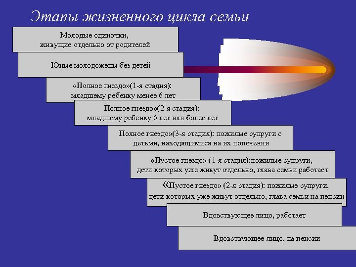 Схема жизненный цикл семьи