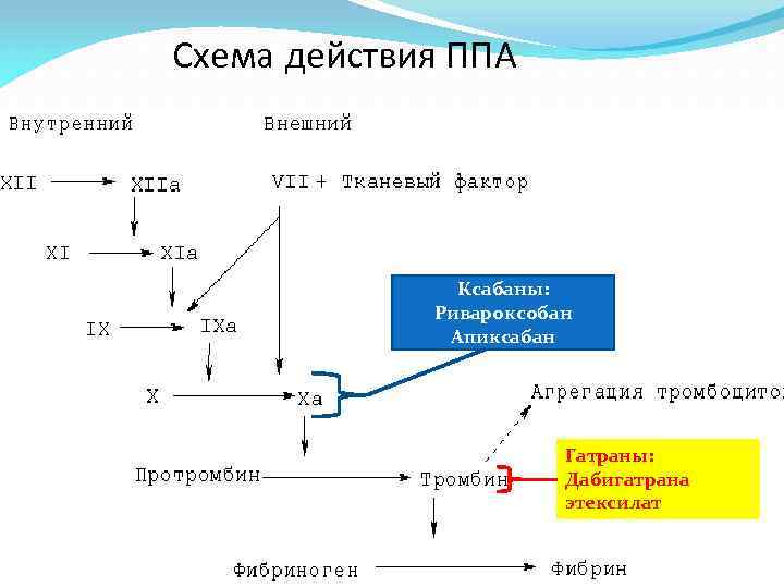 Схема действия ППА Ксабаны: Ривароксобан Апиксабан Гатраны: Дабигатрана этексилат 