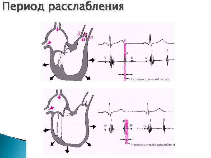 Период расслабления 